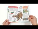 Энциклопедия для маленьких почемучек. Динозавры — фото, картинка — 1